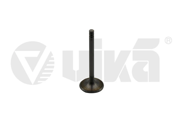 Intake Valve 11090176601