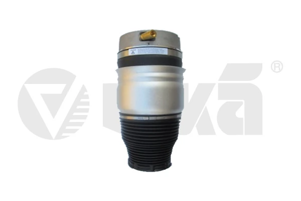 Air Suspension Strut 46160001701