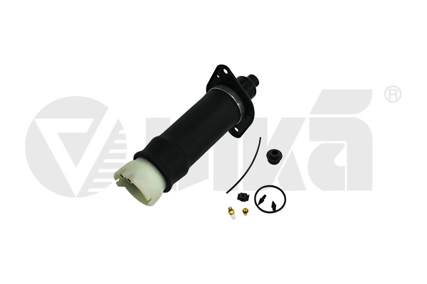 Air Suspension Strut 66160001501