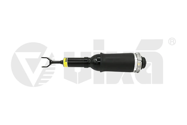 Air Suspension Strut 66160001001