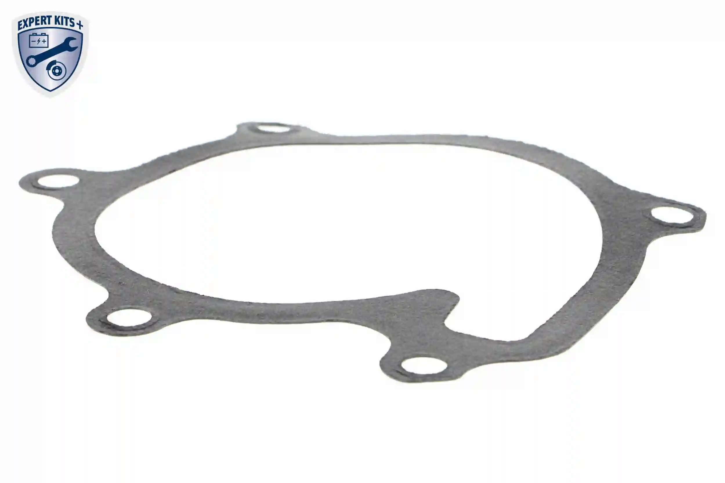 Water Pump, engine cooling EXPERT KITS + A70-50019