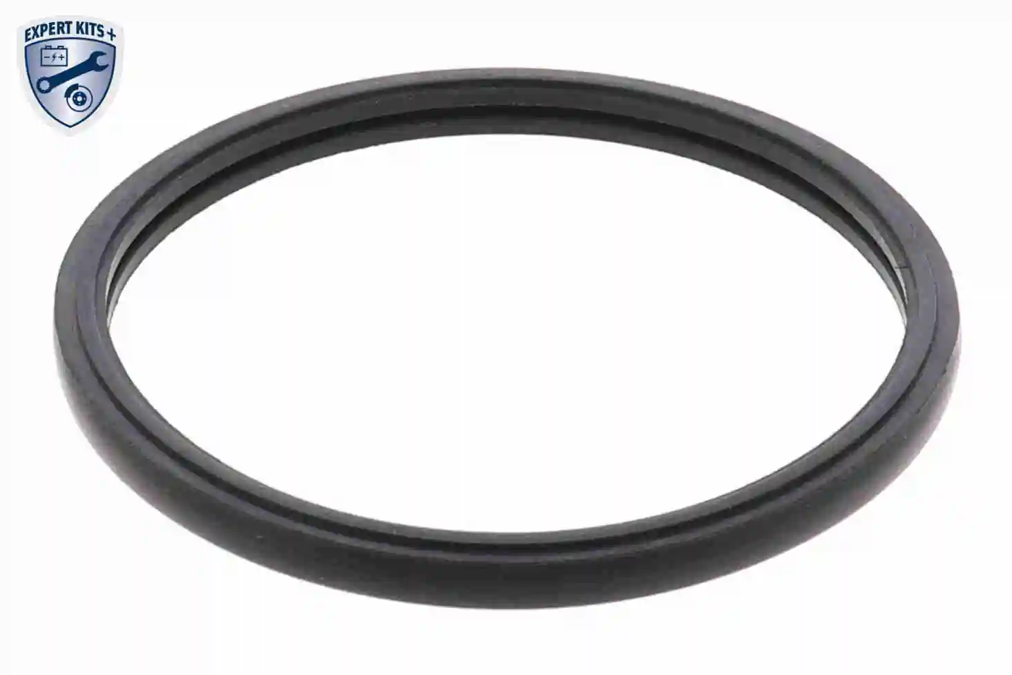 Thermostat, coolant EXPERT KITS + A38-99-0014