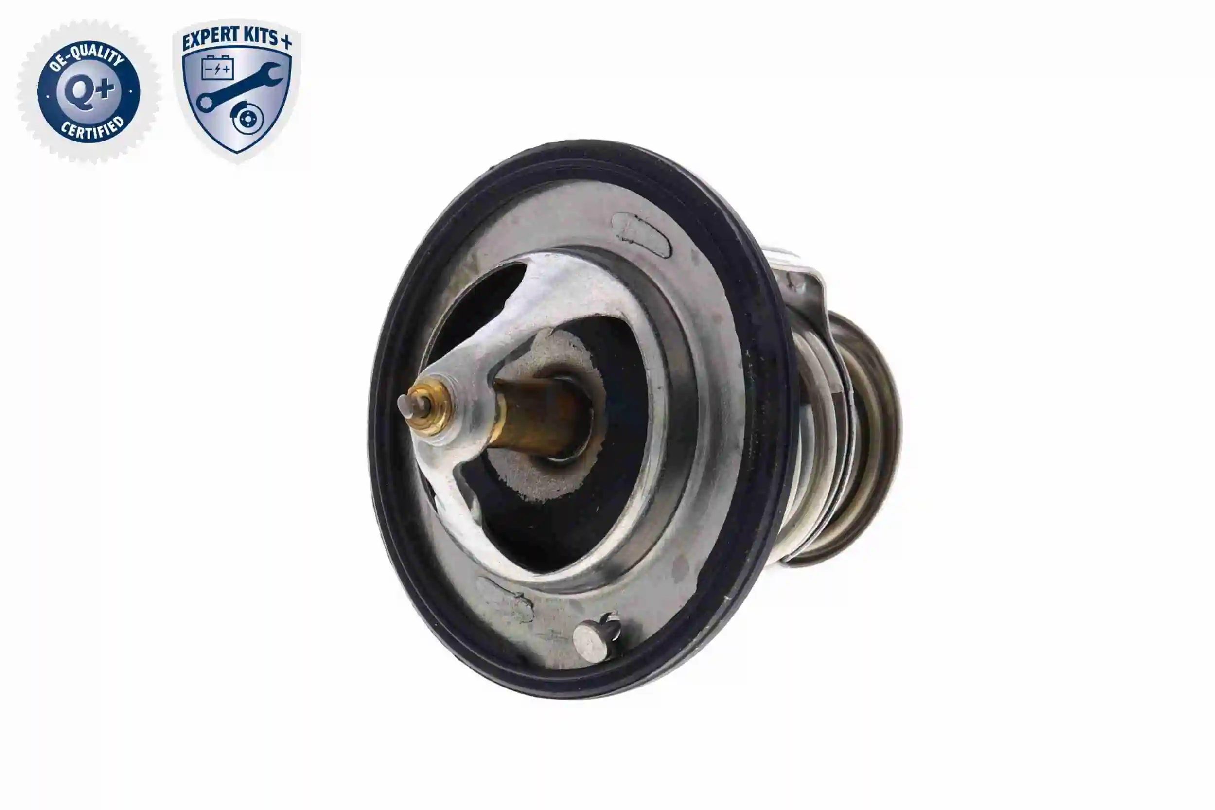 Thermostat, coolant EXPERT KITS + A54-99-0003