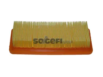 Air Filter PA7421