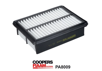 Air Filter PA8009