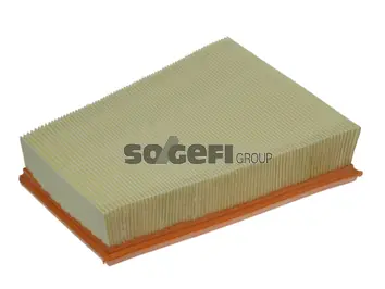 Air Filter PA7450