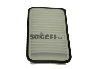 Air Filter PA7438
