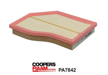 Air Filter PA7842