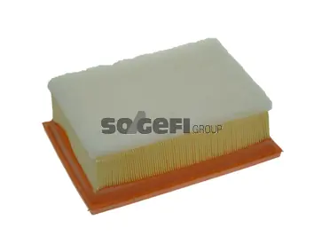 Air Filter PA7365