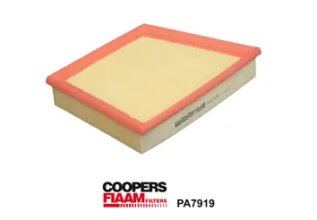 Air Filter PA7919