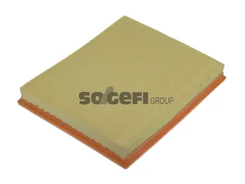 Air Filter PA7289
