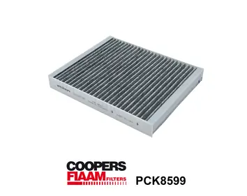 Filter, cabin air PCK8599