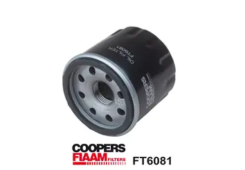 Oil Filter FT6081
