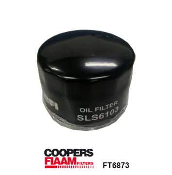 Oil Filter FT6873