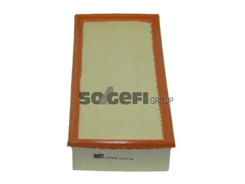Air Filter PA7689