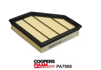 Air Filter PA7960