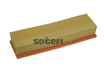 Air Filter PA7359