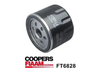 Oil Filter FT6828
