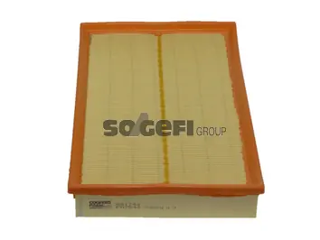 Air Filter PA7542