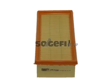 Air Filter PA7596