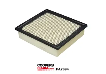 Air Filter PA7894