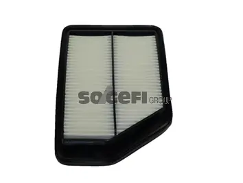 Air Filter PA7565
