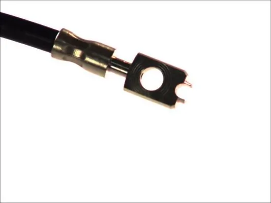 Brake Hose C81066ABE