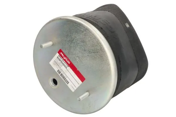 Bellow, air suspension 5002-03-0172P