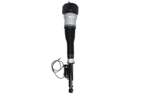 Air Suspension Strut APM015MT