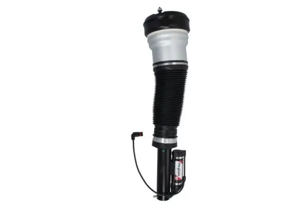 Air Suspension Strut APM009MT