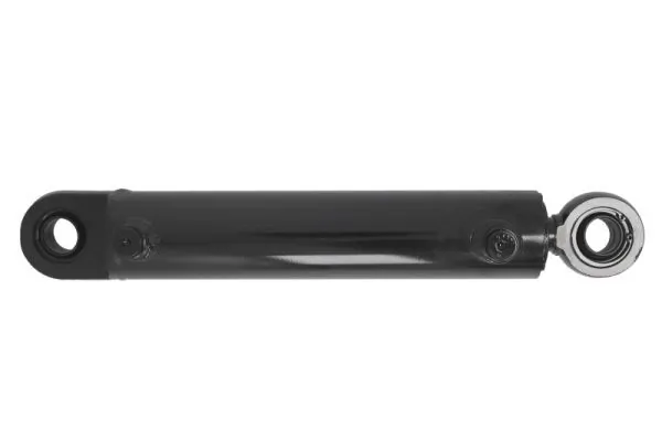 Magnum Technology MGS224 Shock Absorber, steering