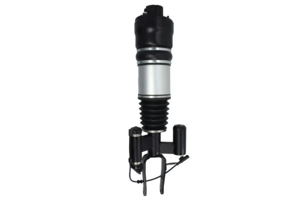 Air Suspension Strut APM016MT