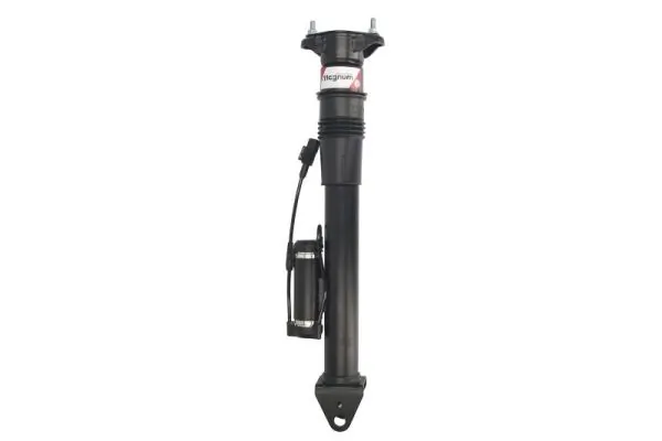 Air Suspension Strut APM004MT