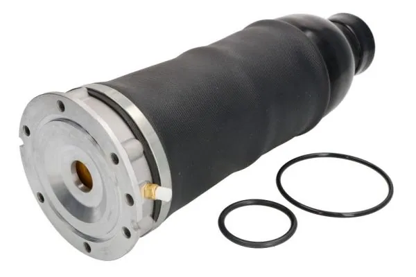 Air Suspension Strut MZA008MT