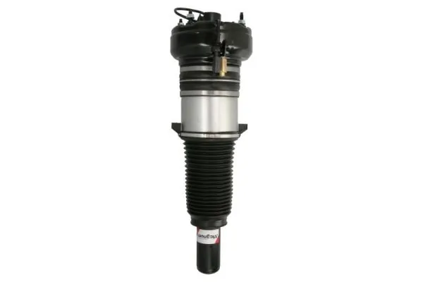 Air Suspension Strut APA004MT