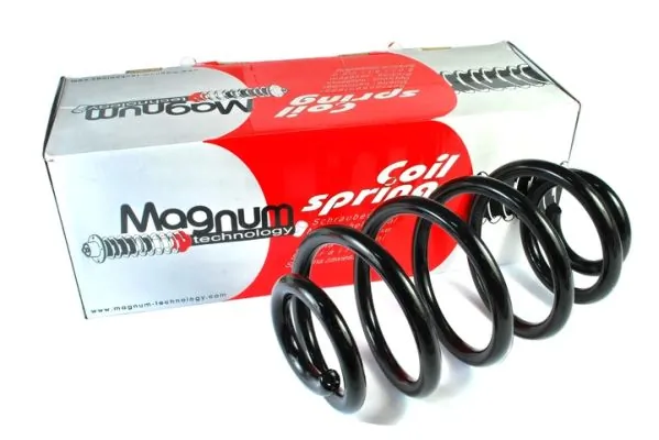 Suspension Spring SM091MT