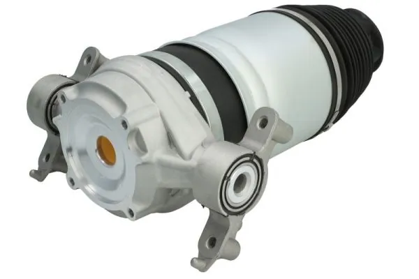 Air Spring, suspension MZW004MT