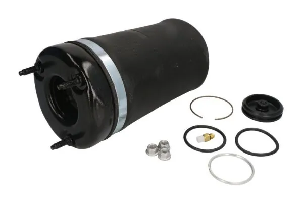 Air Suspension Strut MZM009MT