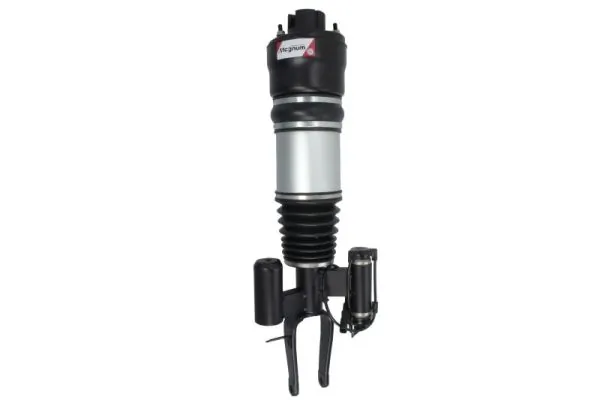 Air Suspension Strut APM017MT