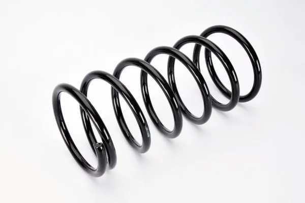 Magnum Technology S00010MT Suspension Spring