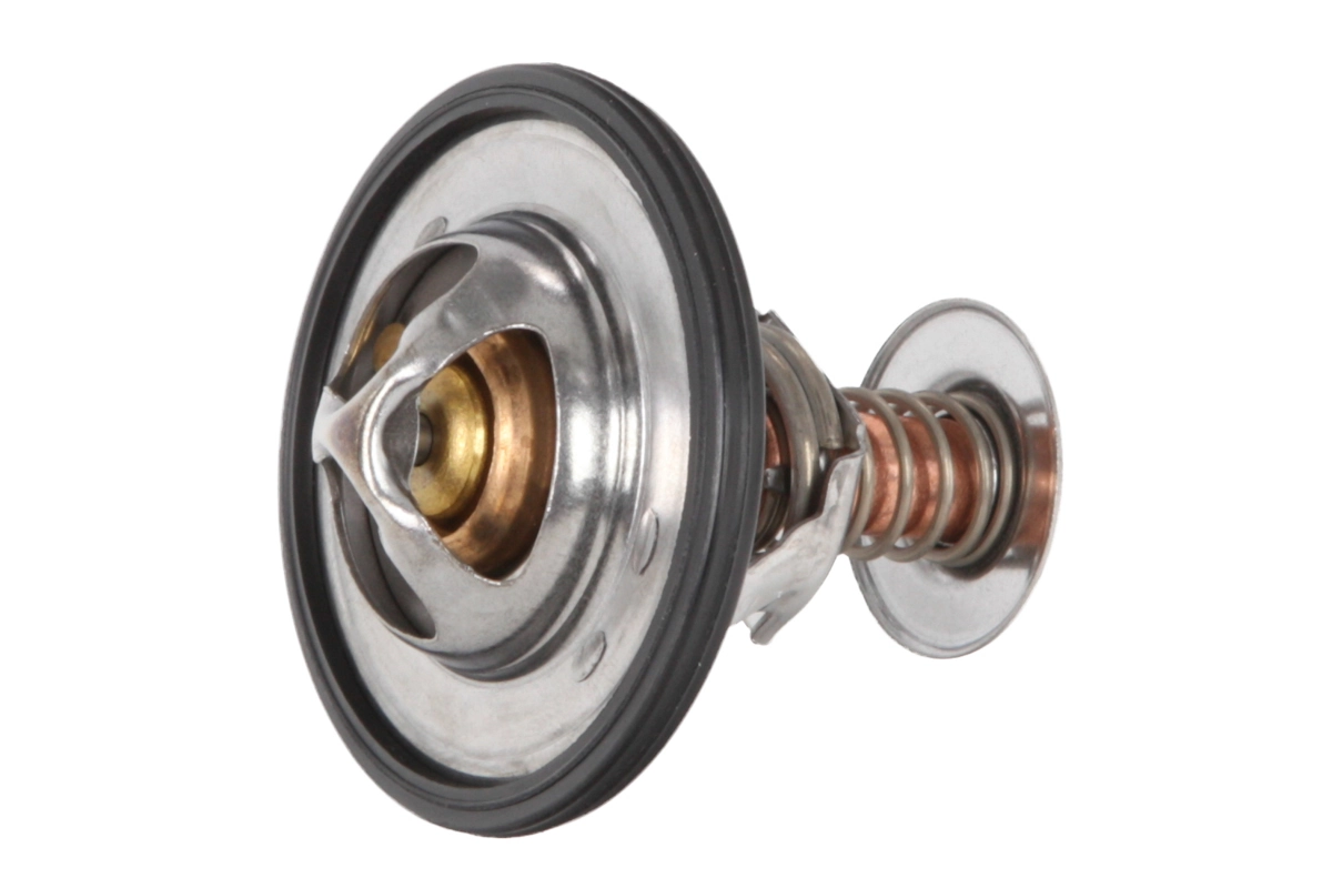 Thermostat, coolant 28.0200-4194.2