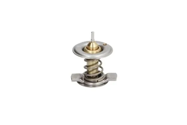 Thermostat, coolant D2M002TT
