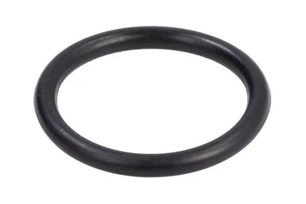 Gasket, charge air cooler DCC087TT