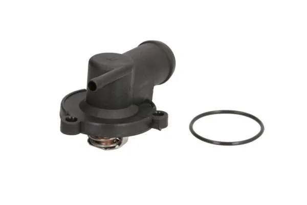 Thermostat, coolant D2S001TT