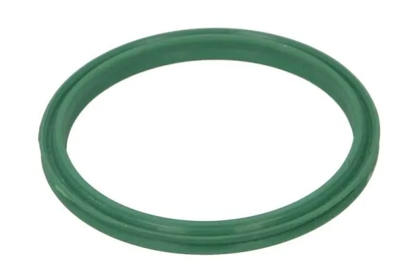 Seal Ring, charge air hose DCR272TT