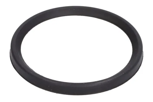 Seal Ring, charge air hose DCC079TT