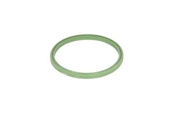 Seal Ring, charge air hose DXW008TT