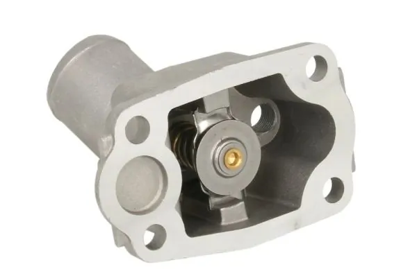 Thermostat, coolant D2E001TT