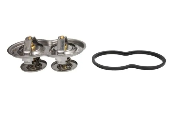 Thermostat, coolant D2SC003TT