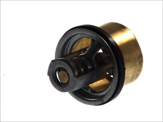 Thermostat, coolant D2RV002TT